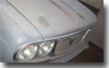 FLAVIA2000